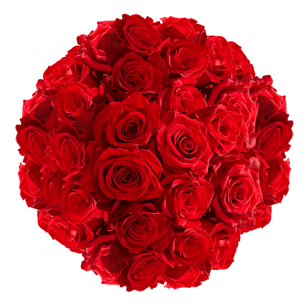 100 Assorted Red Roses Beautiful Fresh Cut Flowers Express Delivery