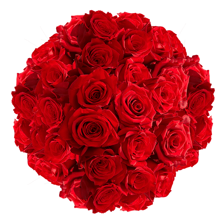 100 Assorted Red Roses- Beautiful Fresh Cut Flowers- Express Delivery -  Walmart.Com