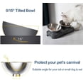 thumbnail image 2 of Cuencos inclinados para comida para gatos, soporte elevado de acero inoxidable, juego de cuencos para comida y agua para perros pequeños, inclinados a 15°, 2 of 7