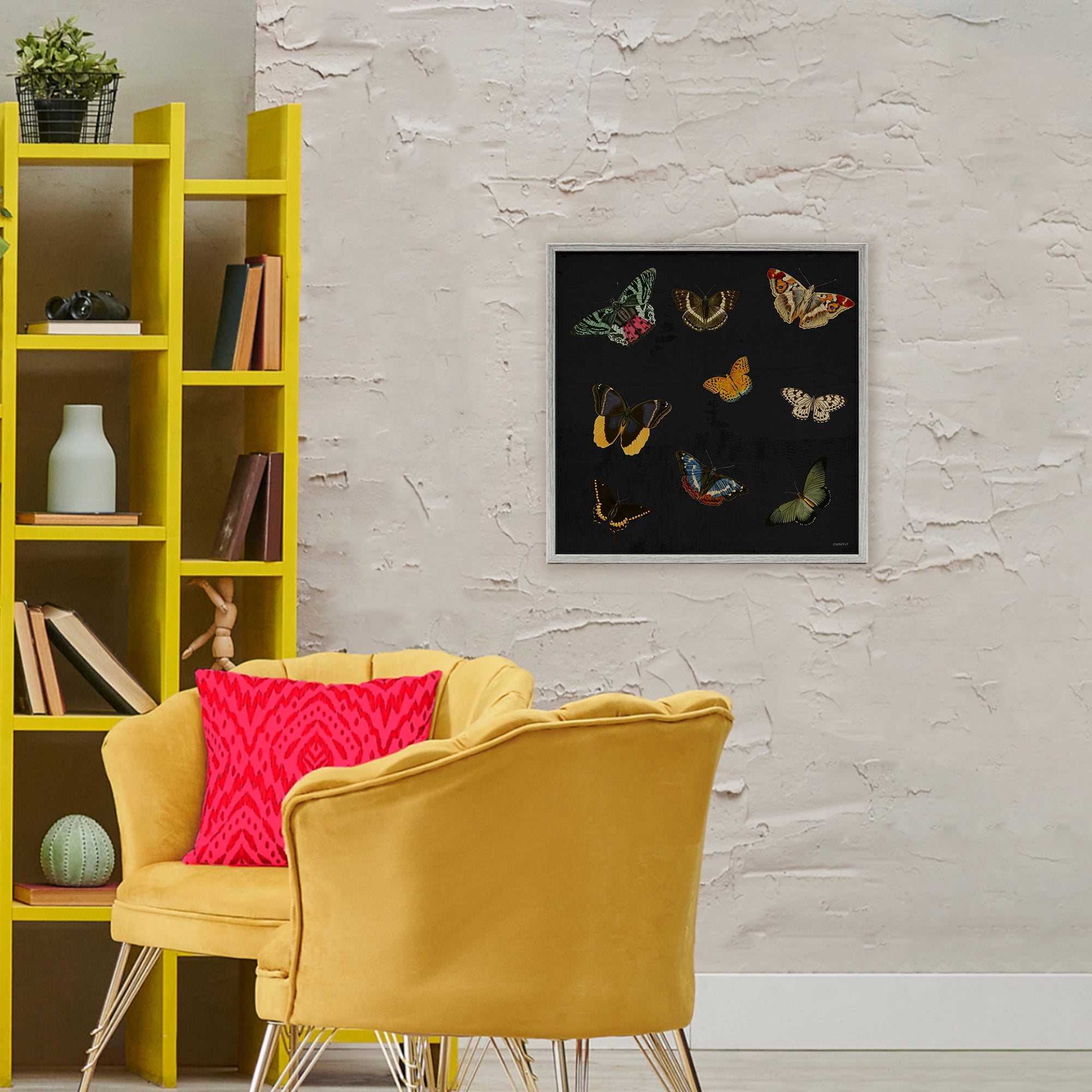 Stupell Industries Butterfly & Moth Collection Gray Framed Giclee Art, design by Dan Meneely