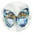 thumbnail image 3 of Selkirk, Edward 15x15 Black Modern Framed Museum Art Print Titled - Indigo Butterfly I, 3 of 5