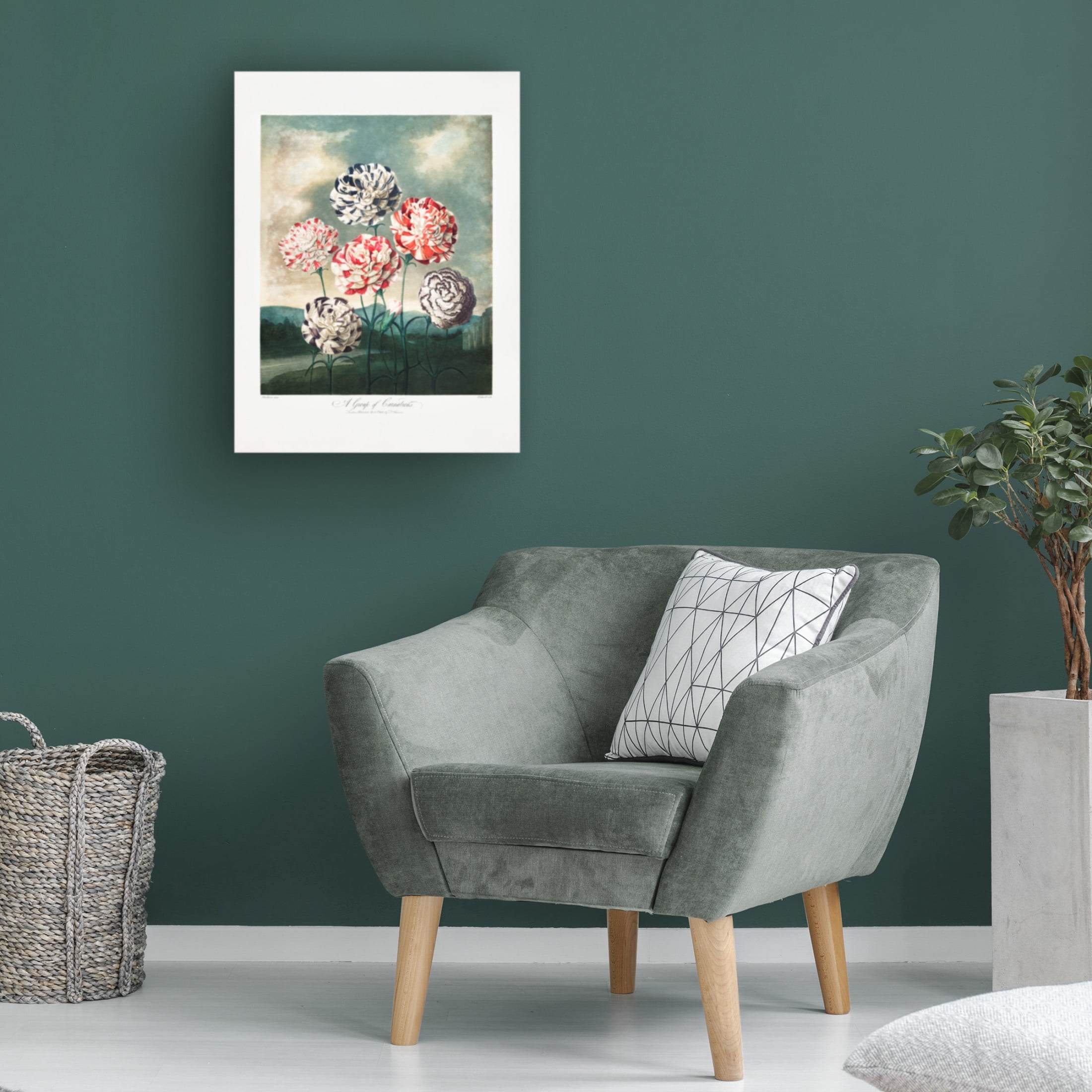 Trademark Fine Art Pictufy  A Group of Carnations from The Temple of Flora 1807 Canvas Wall Art
