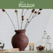 Birth Song Botanicals Woman's Balance Herbal Tea for Healthy Hormone Balance, 4 oz