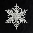 thumbnail image 2 of Bentley, Wilson 12x12 Black Ornate Wood Framed with Double Matting Museum Art Print Titled - Snowflake 1152, 2 of 4
