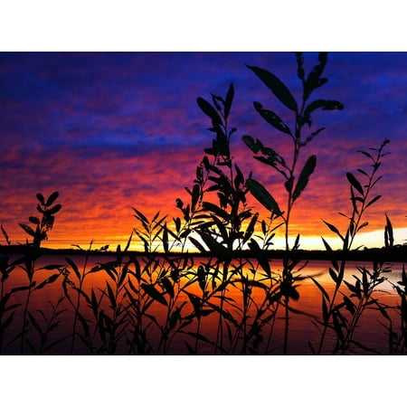 LAMINATED POSTER Midwest Wisconsin Clouds Sunset Powers Lake Color Poster Print 24 x (Best Lakes In The Midwest)