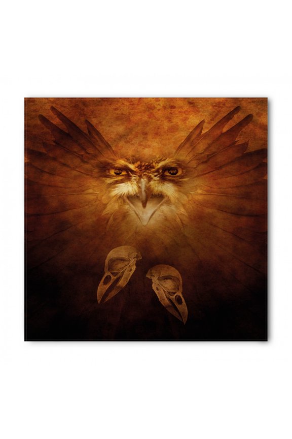 Animal Bandana, Hawk Eagle Face Claws, Unisex Head and Neck Tie, by Ambesonne