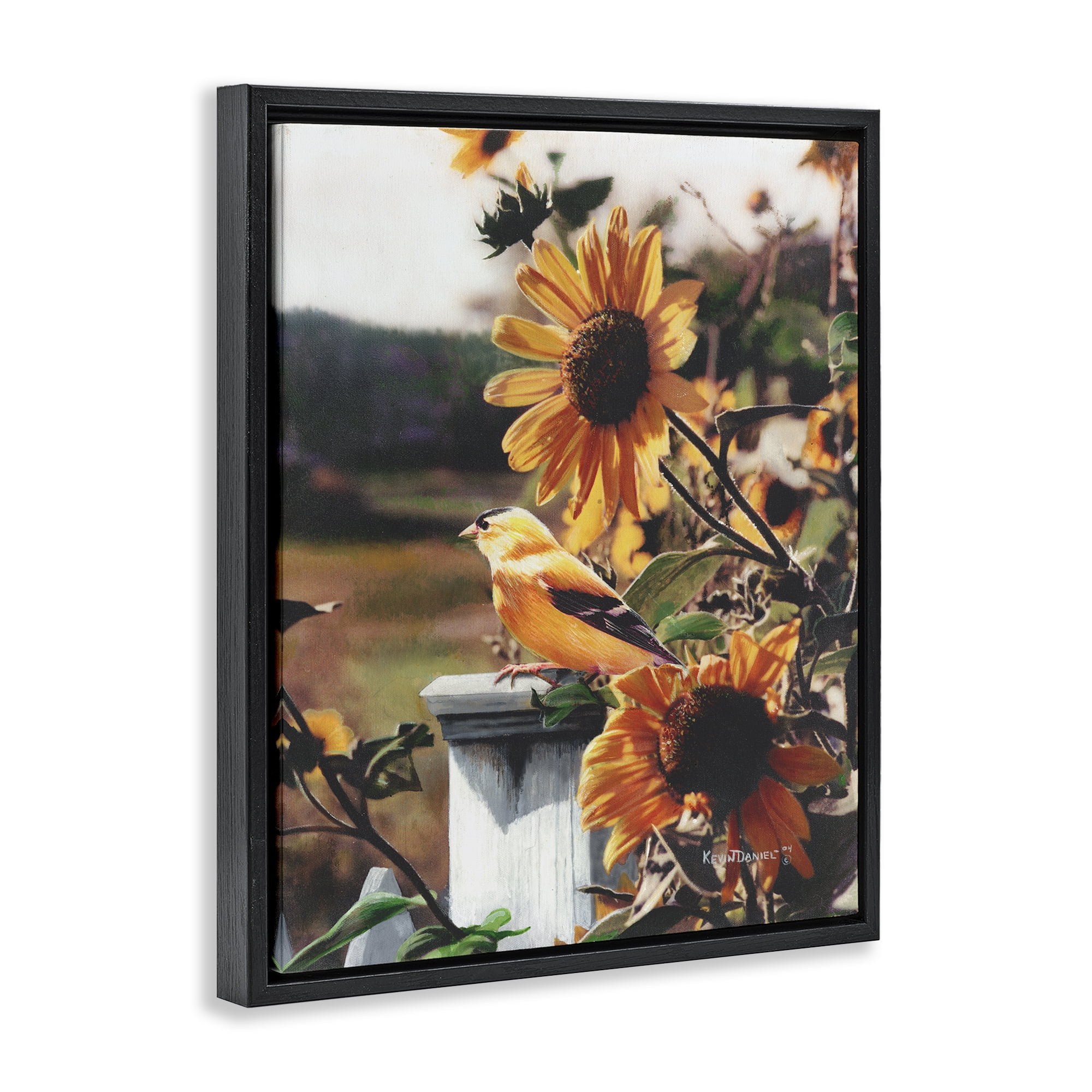 Stupell Industries Canary Bird & Sunflowers Plants & Flowers Photography Black Floater Framed Canvas Art Print Wall Art, 25 x 31
