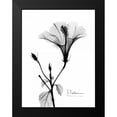 thumbnail image 2 of Koetsier, Albert 19x24 Black Modern Framed Museum Art Print Titled - Hibiscus, 2 of 5
