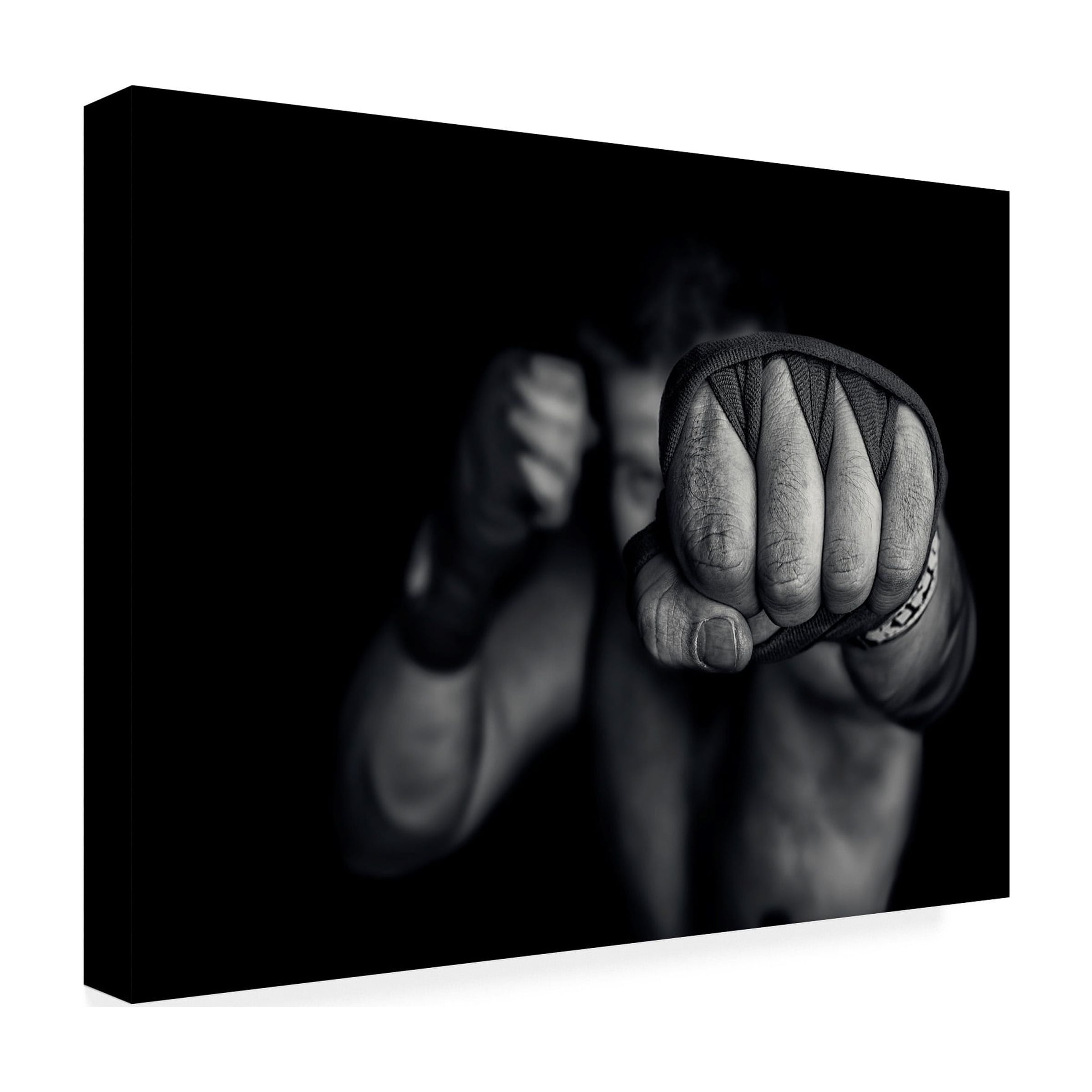 Adrian Vrican 'Left Wing' Canvas Art