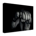 thumbnail image 4 of Adrian Vrican 'Left Wing' Canvas Art, 4 of 4
