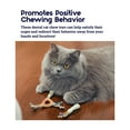thumbnail image 5 of Petstages Dental Health Cat Chew Toy, Multi, One-Size, 5 of 7