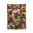 thumbnail image 2 of Sloth Throw Blanket Sloth Gifts for Girls Boys Women Men Kids Adults Soft Flannel Fleece Blanket for Couch Sofa ​Bed Home Decor 50x40, 2 of 6
