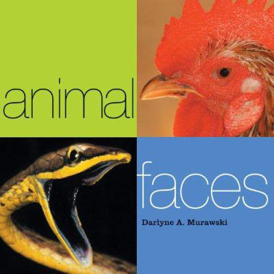 Pre-Owned Animal Faces (Hardcover) 1402722958 9781402722950
