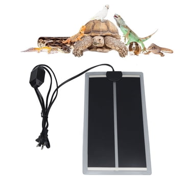 Photo inspiration: Fresh Look at Zoo Med Repticare 10 Watt Rock Heater Standard Reptile Heating