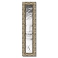 thumbnail image 2 of ArtToFrames 5" x 32" Silver Ornate Reverse Picture Frame, 5x32 inch Multi Wood Poster Frame (WOM-5098), 2 of 7