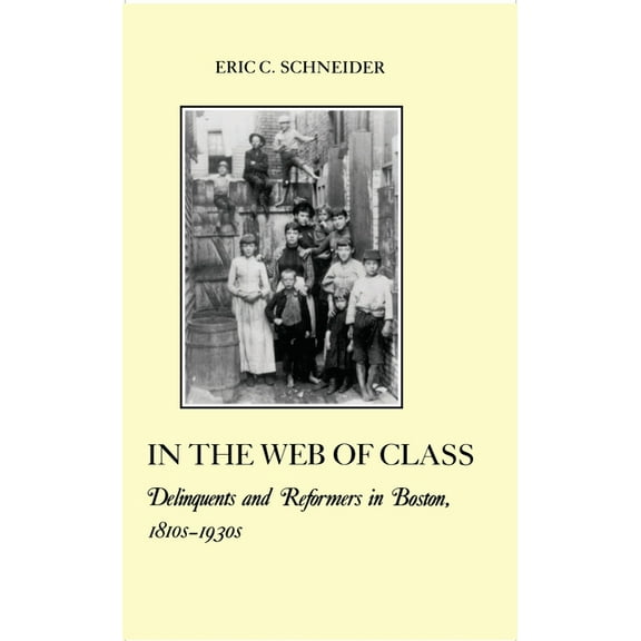 American Social Experience In the Web of Class: Delinquents and Reformers in Boston, 1810s-1930s, Book 10, (Paperback)