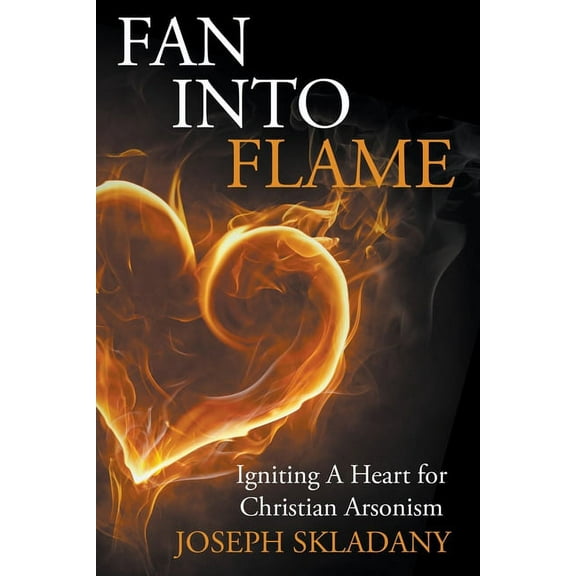 Fan Into Flames : Igniting A Heart for Christian Arsonism (Paperback)