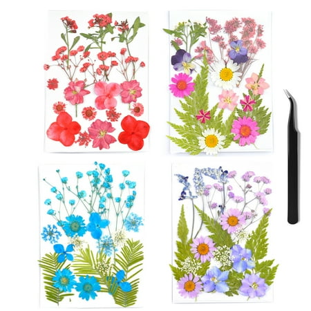 Cumka Pressed Flowers Resin Flowers for Resin Mold, Real Daisy Dried Flower Leaves Natural with Tweezers for Scrapbooking DIY Candle Accessories Jewelry Crafts Making