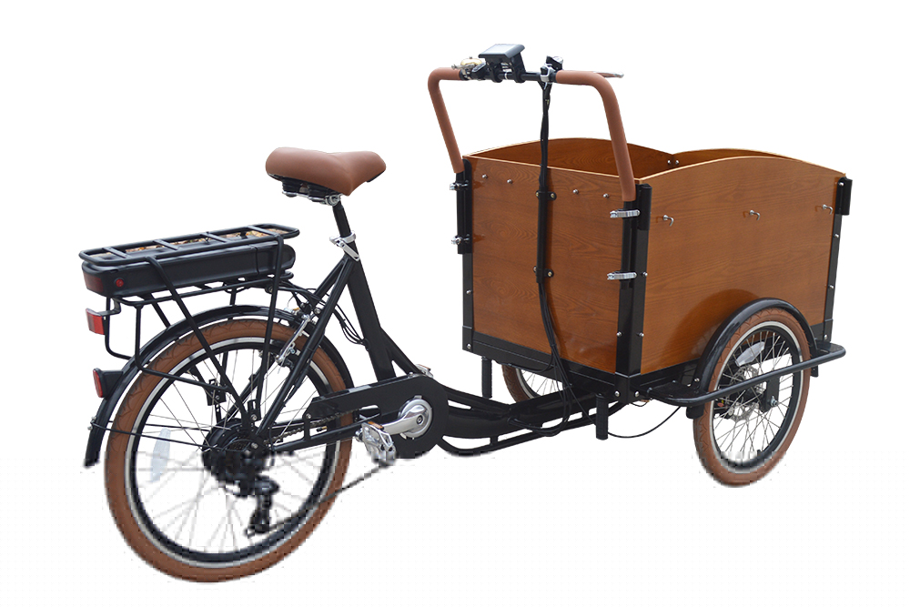 Mobility4less Embrace Tradition with Classic Electric Dutch Trike Electric Bicycle Conversion Kits