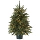 thumbnail image 1 of Árbol de Navidad artificial National Tree Company de 3 pies con luces, 1 of 5