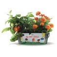 thumbnail image 1 of Kit de Cultivo BUZZY Mi Primer Jardín Tomate y Caléndula para Interior, 1 of 6