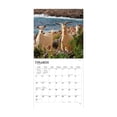 thumbnail image 3 of Goats | 2024 12x24" (Hanging) Monthly Square Wall Calendar | BrownTrout, 3 of 8
