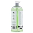 thumbnail image 2 of Rae Dunn PAMPER Conditioning Pet Shampoo – Hydrating Cucumber & Aloe Formula, 1000ml (34oz), 2 of 9
