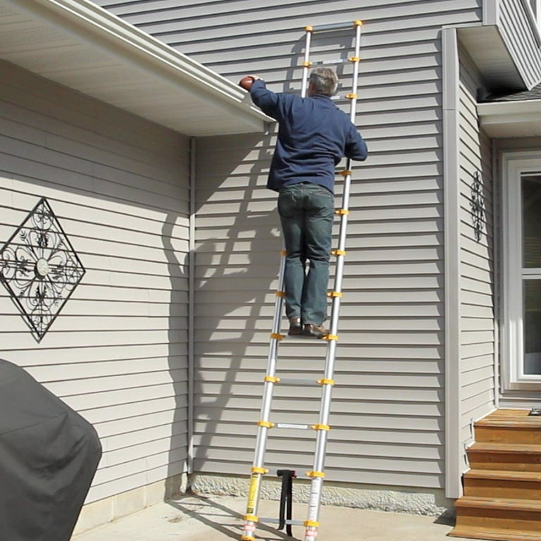 785p ladder 2024