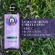 thumbnail image 3 of Shampoo Herbal Essences Anti-Frizz Lavanda & Aceite de Almendras 600 ml, 3 of 4