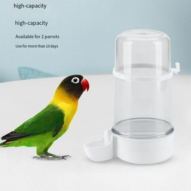 Bebedero De Agua Para Pájaros Bebedero De Agua Para Pájaros