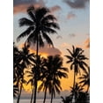 thumbnail image 2 of Merrill Images 12x14 White Modern Wood Framed Museum Art Print Titled - Fiji-Taveuni Island Beach sunset with palm trees, 2 of 4