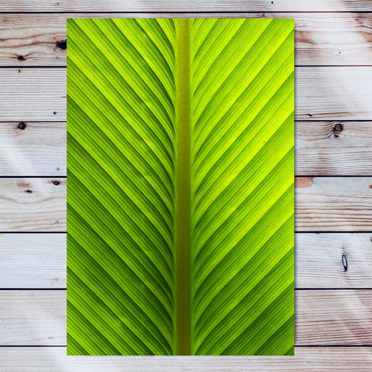 Green Leaf Canvas Wall Art Artwork Wooden Frame Painting Texture Of A