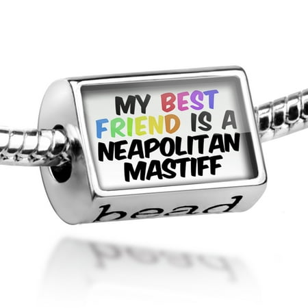Bead My best Friend a Neapolitan Mastiff Dog from Italy Charm Fits All European