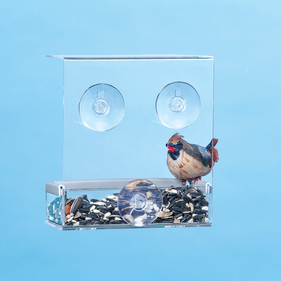 Window Bird Feeder, Clear Acrylic Design, Outdoor Décor, Raised Edge With Bottom Feeder - Measures 2 3/4" Long x 6 1/2" Wide x 6" High