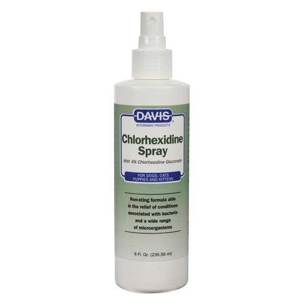 chlorhexidine spray for dogs