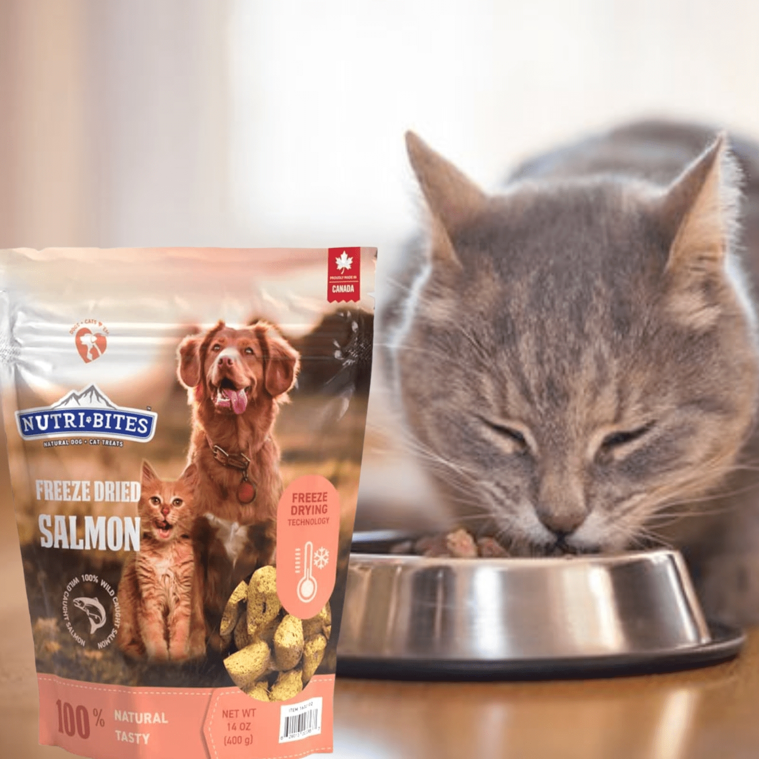 Can You Feed Cat Treats To Dogs can-you-feed-cat-treats-to-dogs