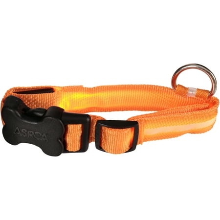 ASPCA Adjustable LED Dog Collar, Small, Orange