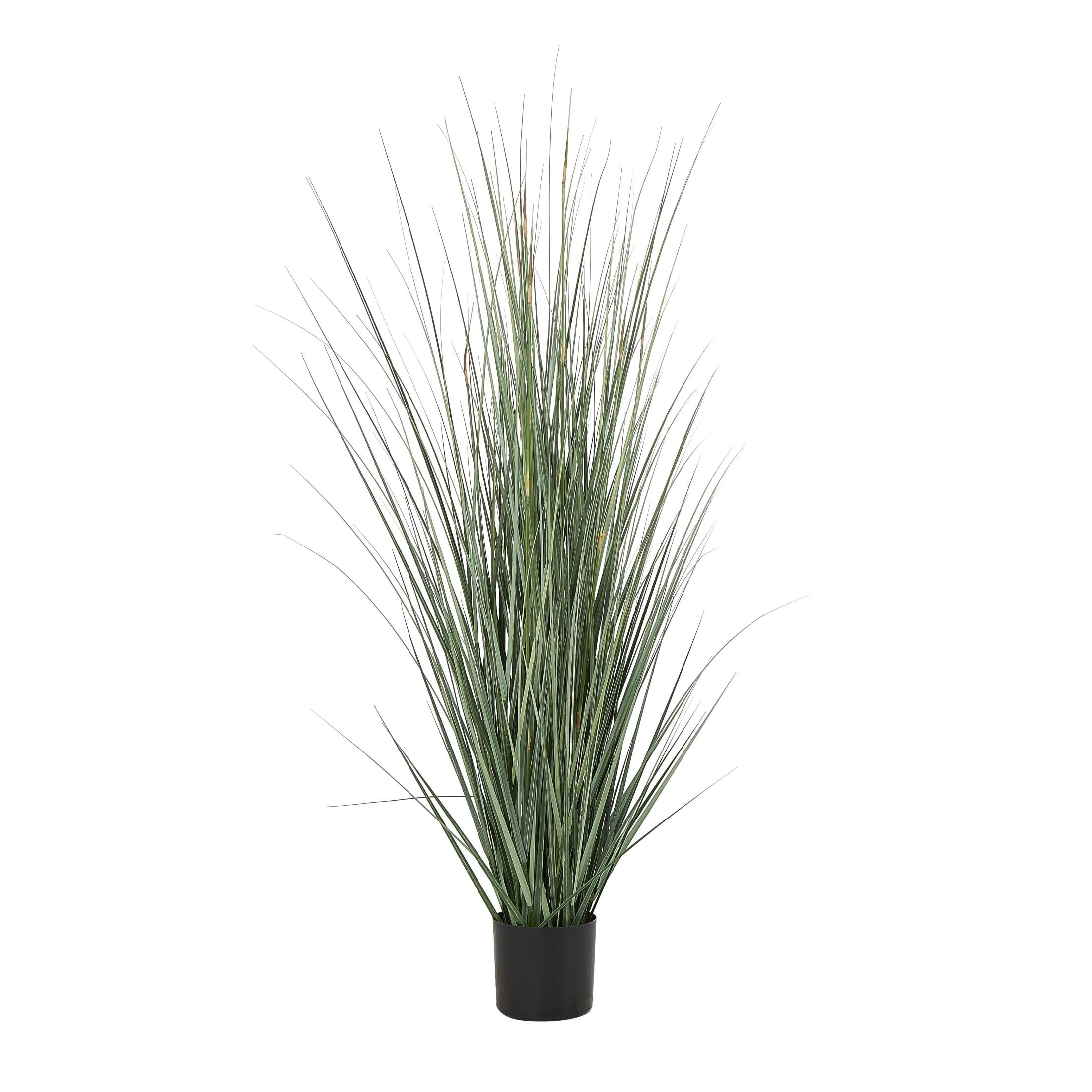 DecMode 61" Tall Artificial Onion Grass Plant in Black Plastic Pot