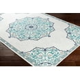 thumbnail image 2 of Surya Alfresco Olefin 5'3" Round Area Rugs ALF9677-53RD, 2 of 4