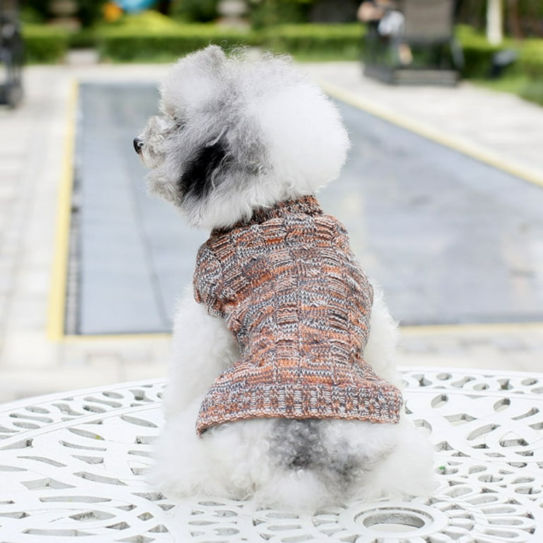 Cute dogs in sweaters hotsell