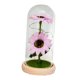 thumbnail image 4 of Girasol en Cúpula de Cristal Regalos con Luz Girasol Artificial en Cúpula de Cristal para Estilo C, 4 of 9