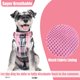 thumbnail image 4 of Set de arnés y collar de correa para perros pequeños PUPTECK, color rosa, 4 of 7