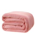 thumbnail image 1 of Manta de franela de alta calidad, manta suave y acogedora muy cálida, poliéster/algodón de color sólido para cama, sofá, dormitorio, sala de estar., 1 of 3