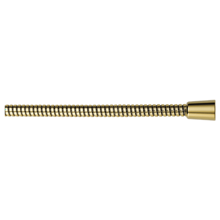 69 Hose Polished Brass - Delta: 70