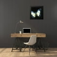 thumbnail image 4 of Vision Studio 20x20 Black Modern Framed Museum Art Print Titled - Small Dramatic Butterflies I, 4 of 5