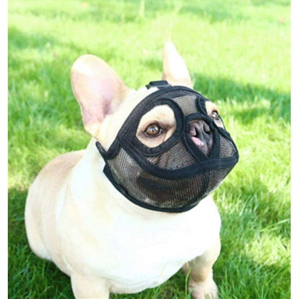 Muzzle for a outlet french bulldog