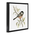 thumbnail image 4 of Stupell Industries Sparrow on Branch Animals & Insects Painting Black Floater Framed Canvas Art Print Wall Art, 25 x 25, 4 of 10