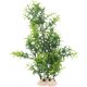 thumbnail image 1 of KAKOWELY Decoración de plantas falsas para acuario, simulación realista, árbol pequeño, accesorio de paisajismo para pecera, 1 of 4