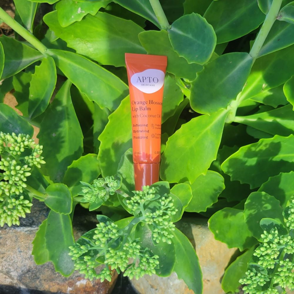 APTO Skincare Orange Blossom Lip Balm, 100% Vegan with Coconut Oil, 0.33 fl oz, 1 Count
