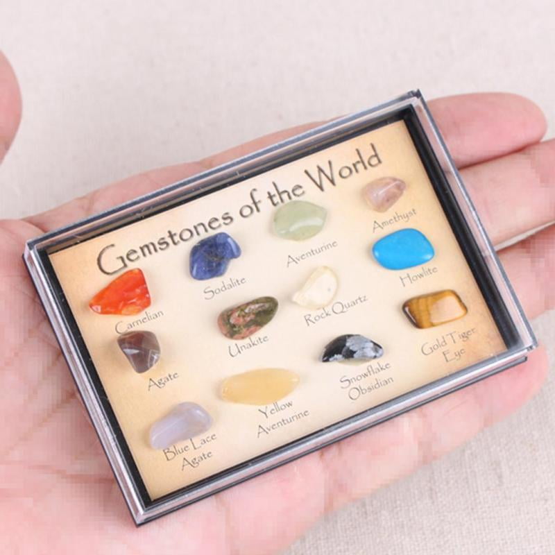 Earth Science Kit   15 Stück Rock Mineral Geology Collection 